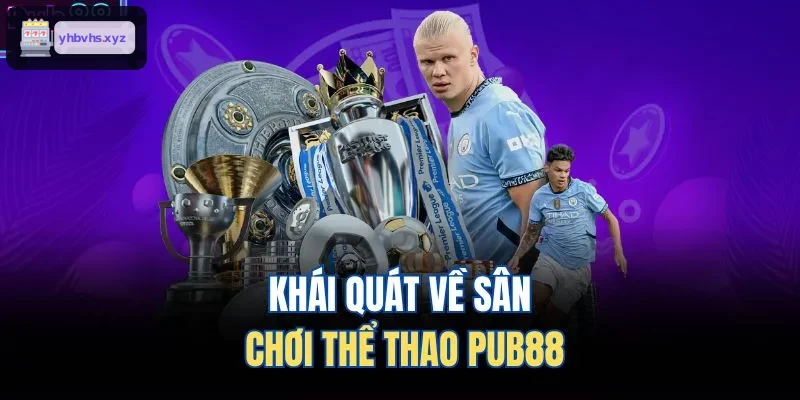 Khái quát về sân chơi thể thao ST666